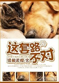 套路不了的人怎么说