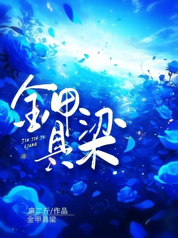 金甲的解释意思