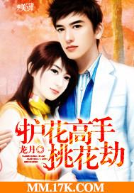 护花高手电视剧