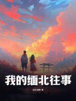 记录缅北往事纪录片
