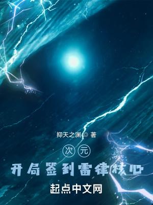 次元开局签到雷律核心45看书