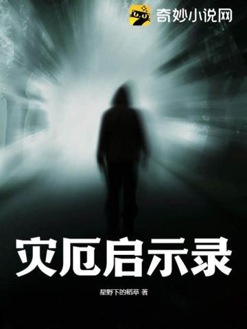 灾厄启示录怎么样