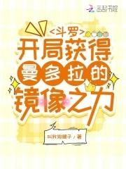穿越斗罗大陆开局就满级