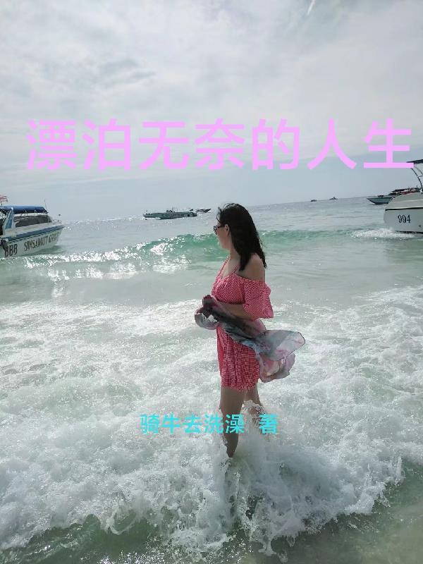 漂泊的句子说说心情