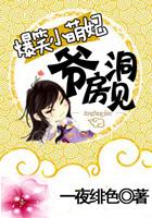 爆笑小萌妃全文免费阅读
