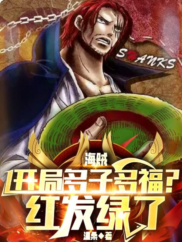 海贼开局遇见凯多