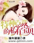 总裁的特种兵