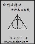 哈利波特中黑魔法防御老师