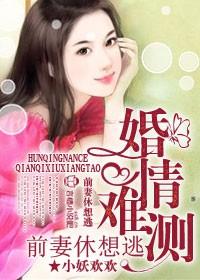 婚情难付前夫请走开免费