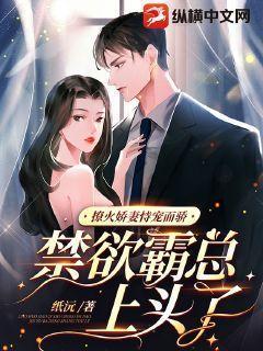 撩火全文