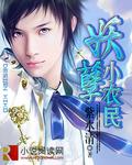 妖孽小农民红日三杆