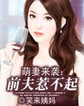 前妻归来萌宝腹黑坑爹记