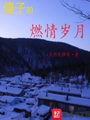 傻子的燃情岁月笔趣阁