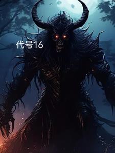 代号16的船
