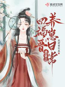 清穿之四福晋的
