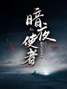 暗夜使者刺客转职叫啥