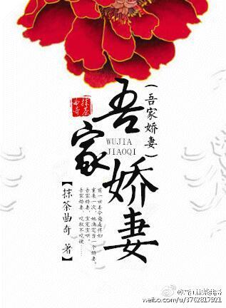 吾家妻宝全文免费阅读完整版