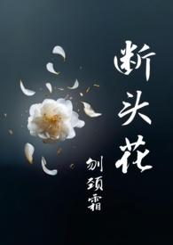 断头花山茶花寓意