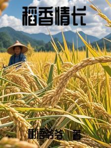 稻香的mv