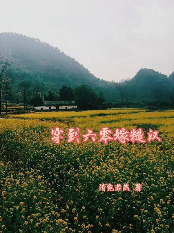 穿六零嫁糙汉清宛若然