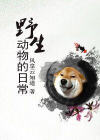 野生动物的日常作者风享云知道