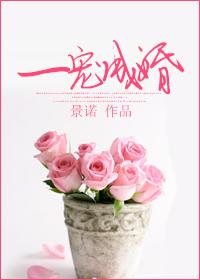 一宠成婚gl古穿今txt
