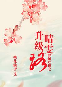 穿越红楼之晴雯升级路TXT最新章节列表