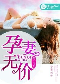 孕妻是天价完整版