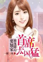 首席独宠新娘免费阅读全文