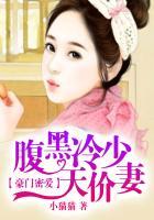 豪门蜜爱冷少独宠小暖妻