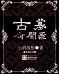 古墓纪录