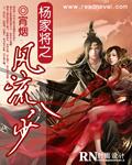 杨家将别传