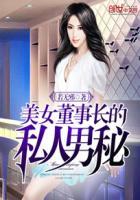 美女董事长老婆全文阅读全文冰糖白开水