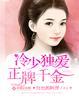 冷少独宠小萌妻素颜
