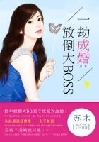 一劫是什么意思