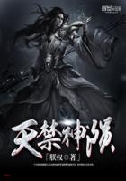 天神禁条全集