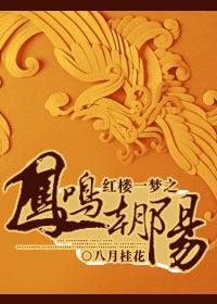 红楼一梦之凤鸣朝阳晋江