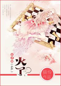 爆火娱乐圈