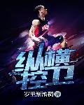 纵横控股集团有限公司