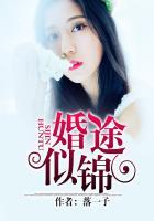 婚途似锦无错