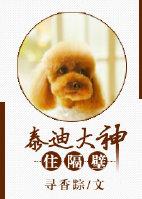 泰迪离不开主人一直叫怎么办