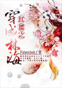 红楼之林海txt