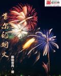 首尔烟火大会中国