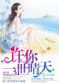 许你一世安宁 盛宁徐启刚