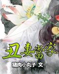 丑妻家中宝免费阅读