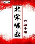 重生之北宋崛起