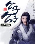 公子公子起点