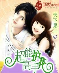 全能护花高手女主