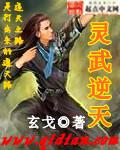 灵武逆天的内容简介