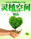 空间移植灵茶树